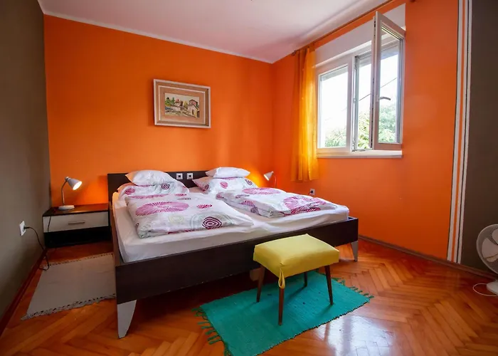 Apartment Un Chat